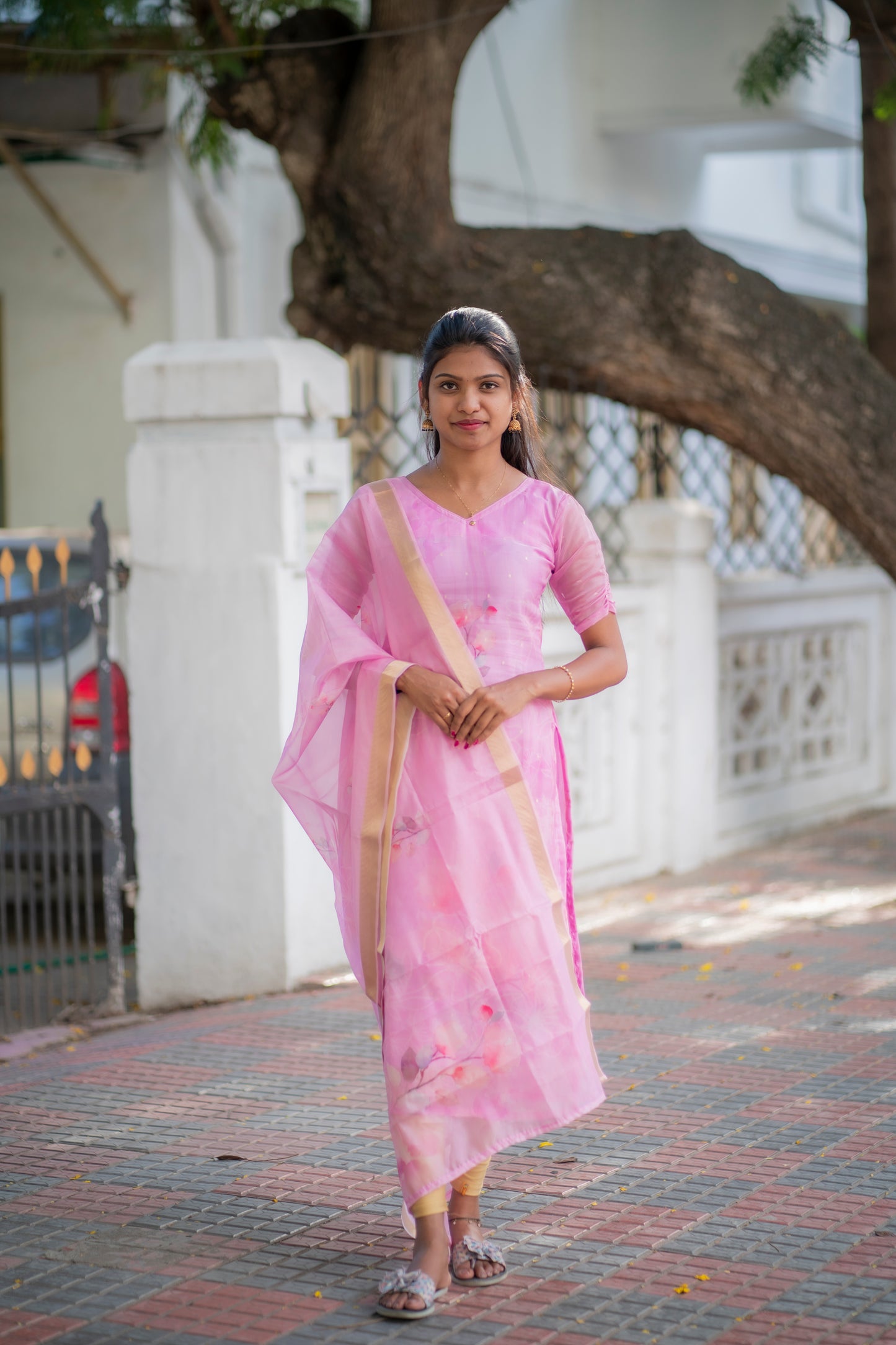 Soft organza kurti with dupatta
